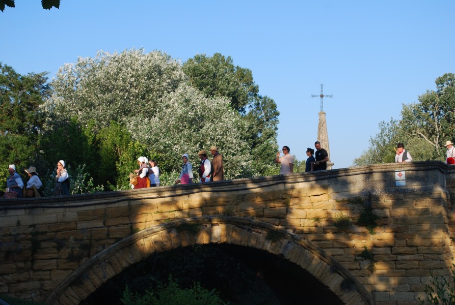 DSC_0355.jpg
