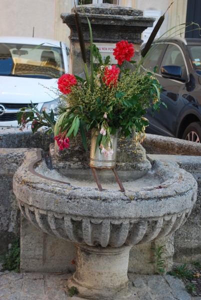 DSC_0372.jpg