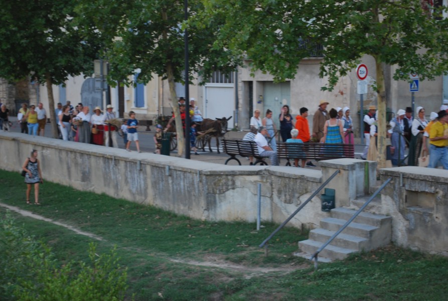 DSC_0390.jpg
