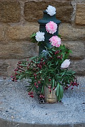 DSC_0370.jpg