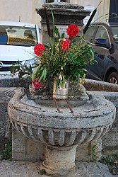 DSC_0372.jpg
