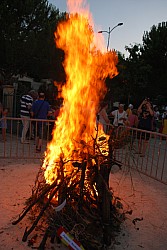 DSC_0403.jpg