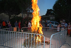 DSC_0404.jpg