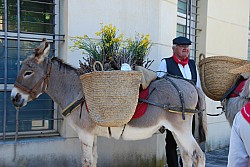 Recampado_defile_2024_06.jpg Recampado_defile_2024_06.jpg