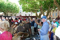 Recampado_defile_2024_103.jpg Recampado_defile_2024_103.jpg