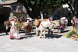 Recampado_defile_2024_35.jpg Recampado_defile_2024_35.jpg