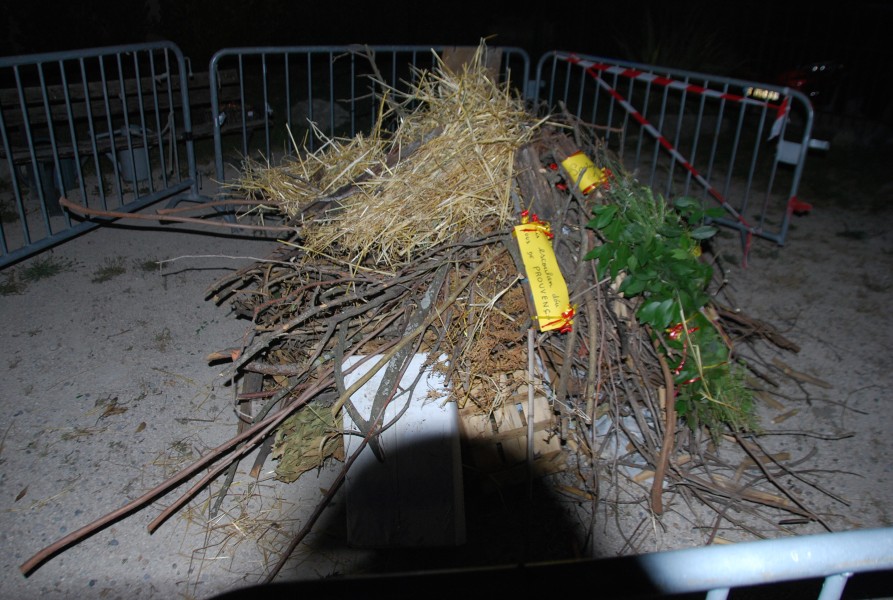 DSC_0229.jpg