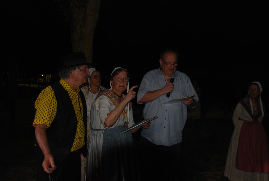 DSC_0231.jpg