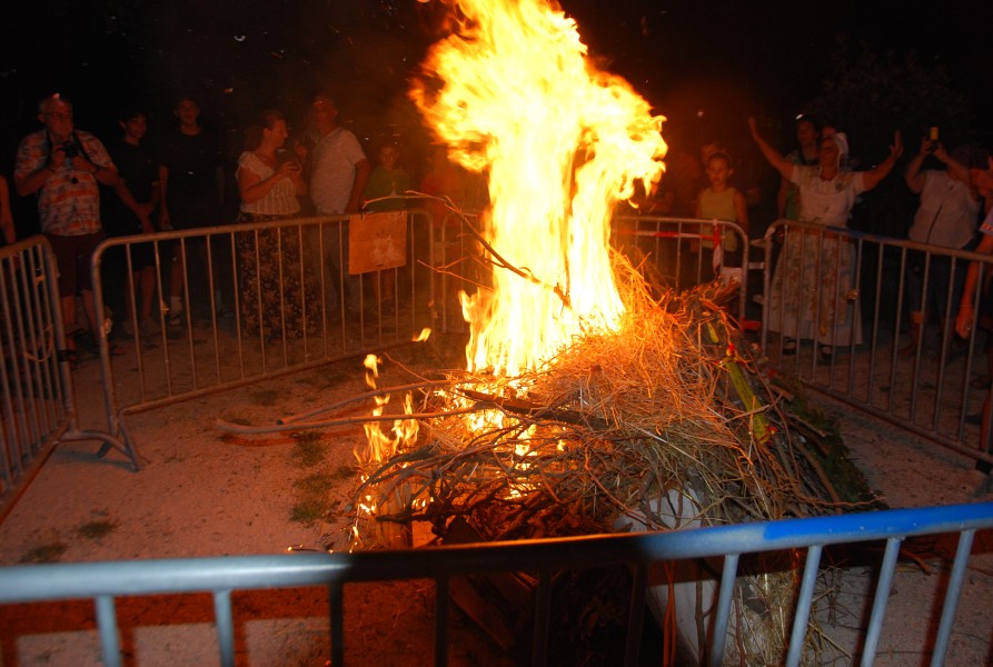 DSC_0244.jpg