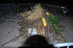 DSC_0229.jpg