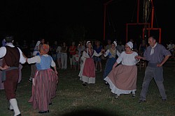 DSC_0237.jpg