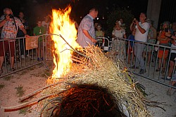 DSC_0243.jpg