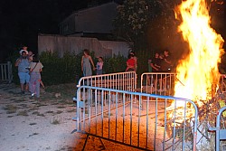 DSC_0247.jpg