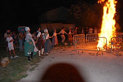 DSC_0248.jpg
