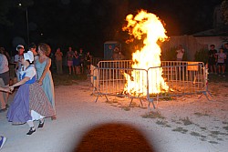 DSC_0252.jpg
