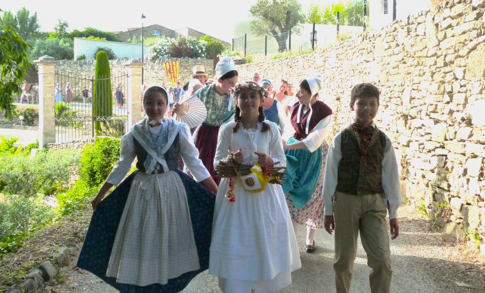 Feu St Jean La Roque sur Pernes 25 juin 2025 (7).jpg
