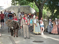 Feu St Jean La Roque sur Pernes 25 juin 2025 (20).jpg