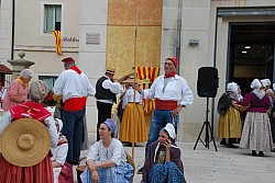 Recampado_Bedoin_2025_04.jpg Recampado_Bedoin_2025_04.jpg