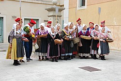 Recampado_Bedoin_2025_06.jpg Recampado_Bedoin_2025_06.jpg