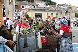 Recampado_Bedoin_2025_07.jpg Recampado_Bedoin_2025_07.jpg