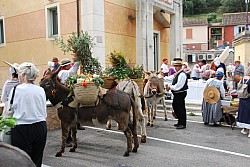Recampado_Bedoin_2025_08.jpg Recampado_Bedoin_2025_08.jpg