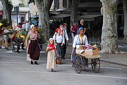 Recampado_Bedoin_2025_11.jpg Recampado_Bedoin_2025_11.jpg