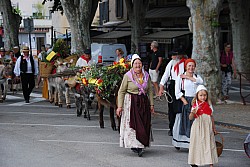 Recampado_Bedoin_2025_12.jpg Recampado_Bedoin_2025_12.jpg