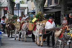 Recampado_Bedoin_2025_13.jpg Recampado_Bedoin_2025_13.jpg