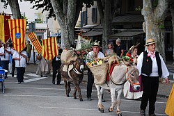 Recampado_Bedoin_2025_14.jpg Recampado_Bedoin_2025_14.jpg