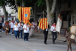 Recampado_Bedoin_2025_15.jpg Recampado_Bedoin_2025_15.jpg