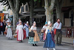 Recampado_Bedoin_2025_22.jpg Recampado_Bedoin_2025_22.jpg