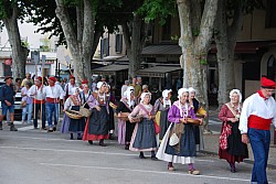 Recampado_Bedoin_2025_24.jpg Recampado_Bedoin_2025_24.jpg