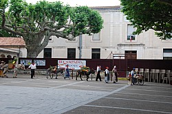 Recampado_Bedoin_2025_25.jpg Recampado_Bedoin_2025_25.jpg