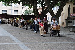 Recampado_Bedoin_2025_27.jpg Recampado_Bedoin_2025_27.jpg