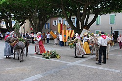 Recampado_Bedoin_2025_30.jpg Recampado_Bedoin_2025_30.jpg