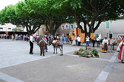 Recampado_Bedoin_2025_33.jpg Recampado_Bedoin_2025_33.jpg