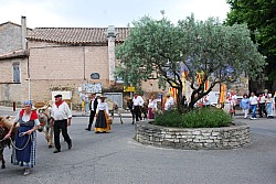 Recampado_Bedoin_2025_35.jpg Recampado_Bedoin_2025_35.jpg