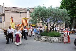 Recampado_Bedoin_2025_36.jpg Recampado_Bedoin_2025_36.jpg