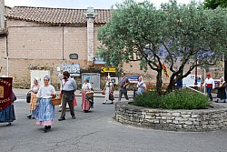 Recampado_Bedoin_2025_40.jpg Recampado_Bedoin_2025_40.jpg