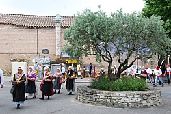 Recampado_Bedoin_2025_41.jpg Recampado_Bedoin_2025_41.jpg