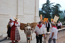 Recampado_Bedoin_2025_50.jpg Recampado_Bedoin_2025_50.jpg