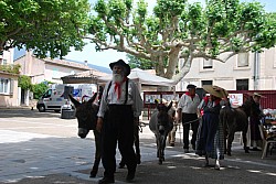 Recampado_Bedoin_2025_100.jpg Recampado_Bedoin_2025_100.jpg