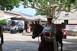 Recampado_Bedoin_2025_103.jpg Recampado_Bedoin_2025_103.jpg