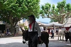 Recampado_Bedoin_2025_104.jpg Recampado_Bedoin_2025_104.jpg