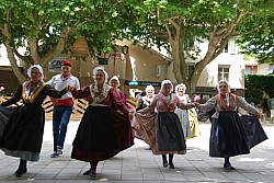 Recampado_Bedoin_2025_107.jpg Recampado_Bedoin_2025_107.jpg