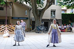 Recampado_Bedoin_2025_119.jpg Recampado_Bedoin_2025_119.jpg