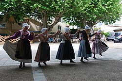 Recampado_Bedoin_2025_131.jpg Recampado_Bedoin_2025_131.jpg