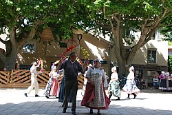 Recampado_Bedoin_2025_135.jpg Recampado_Bedoin_2025_135.jpg