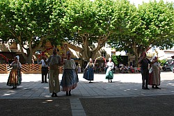 Recampado_Bedoin_2025_137.jpg Recampado_Bedoin_2025_137.jpg