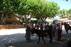 Recampado_Bedoin_2025_151.jpg Recampado_Bedoin_2025_151.jpg